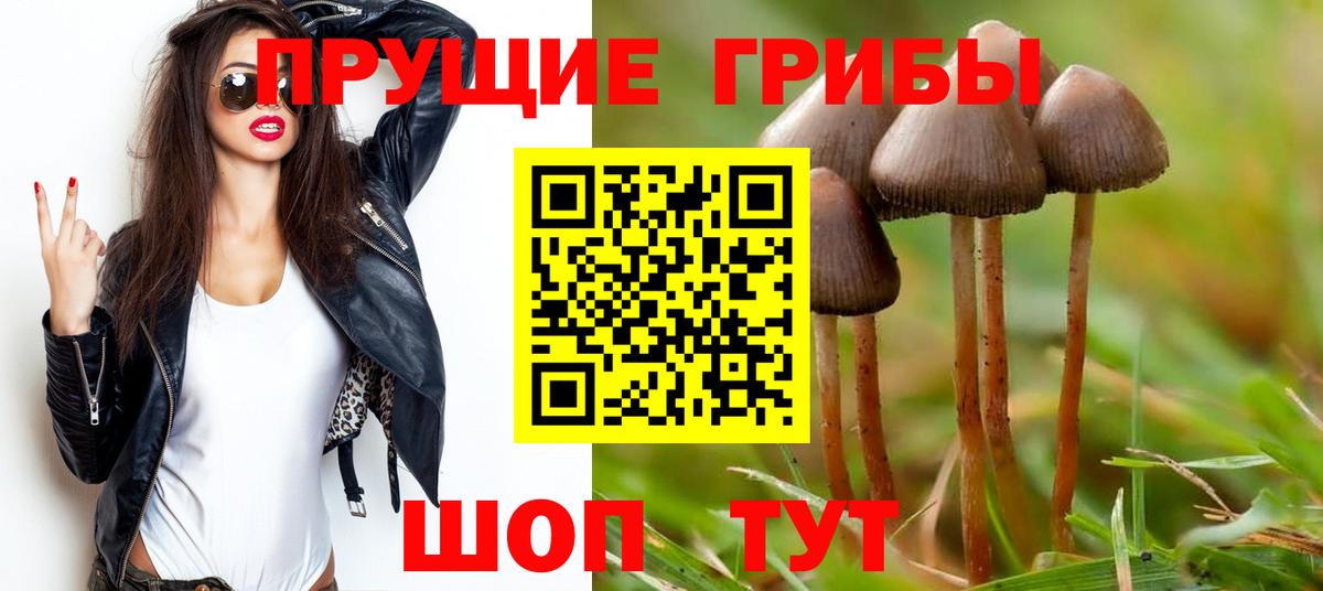 Галлюциногенные грибы MAGIC MUSHROOMS  Вход с VPN  Чебоксары 